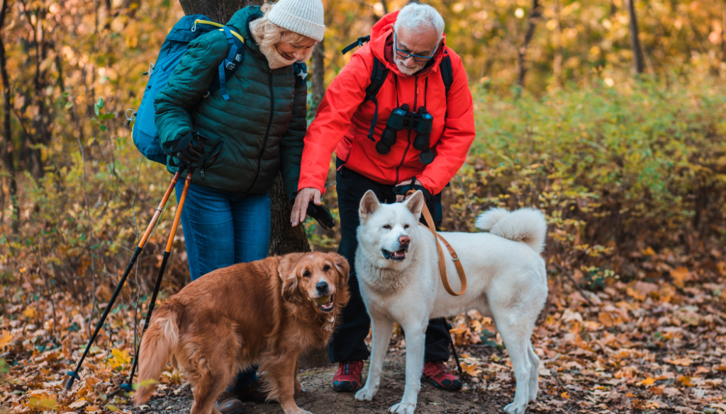 BC CRN October blog cover of seniors and dogs enjoying fall activities outdoors