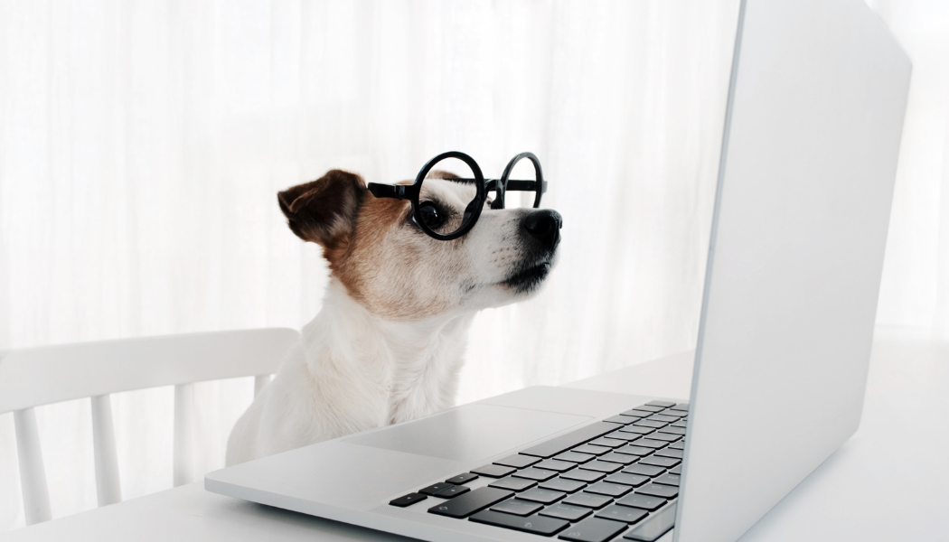 Dog in glasses at computer keyboard: Tech Tip of the Month