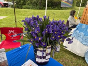 Sparwood-CRN-World-Elder-Abuse-Awareness-Day-2025 (1)