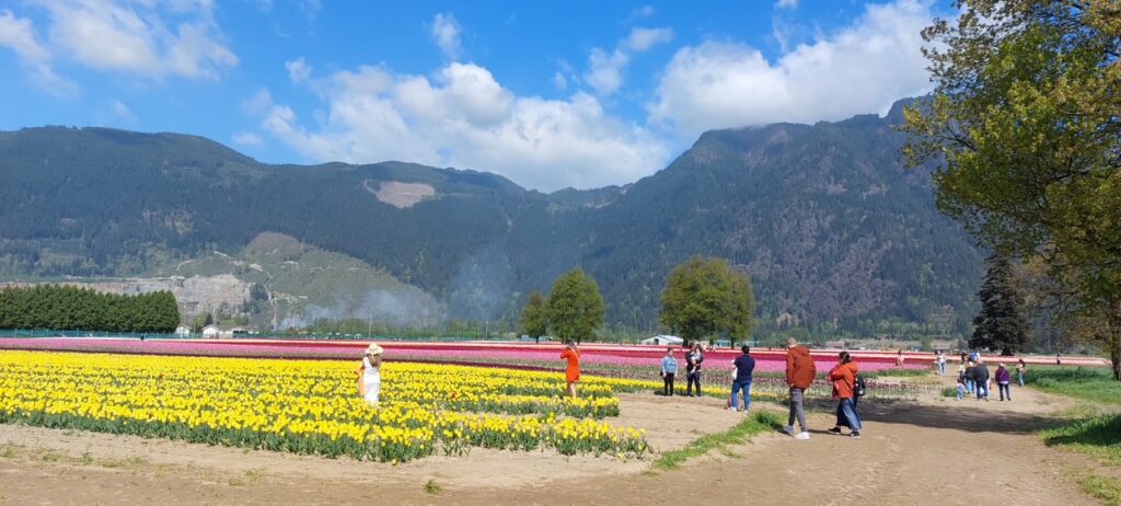 Port Coquitlam CRN (Bus Trip to Tulip Festival) 2026 9